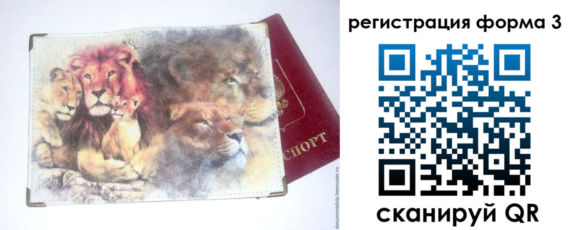 прописка в квартире в Сельцо